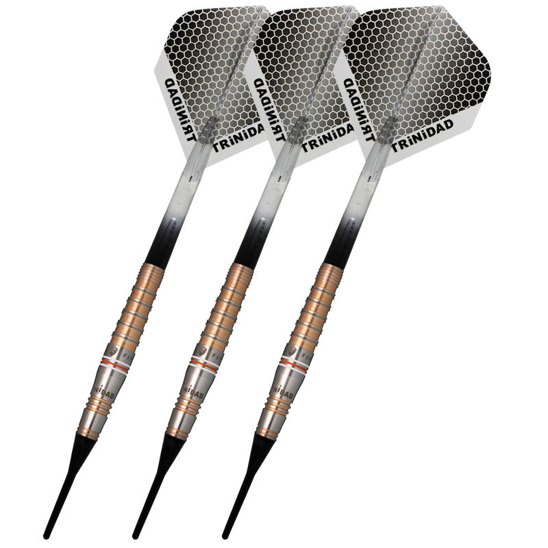 TRiNiDAD Roman4 LIMITED MODEL Darts Barrel 宮脇実由