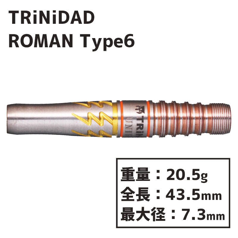 TRiNiDAD ROMAN TYPE6 宮脇実由 Darts Barrel – Dartsbuddy.com