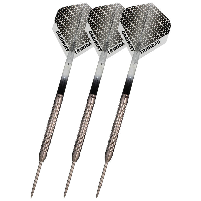 TRiNiDAD COTTO TYPE2 STEEL Darts Barrel – Dartsbuddy.com