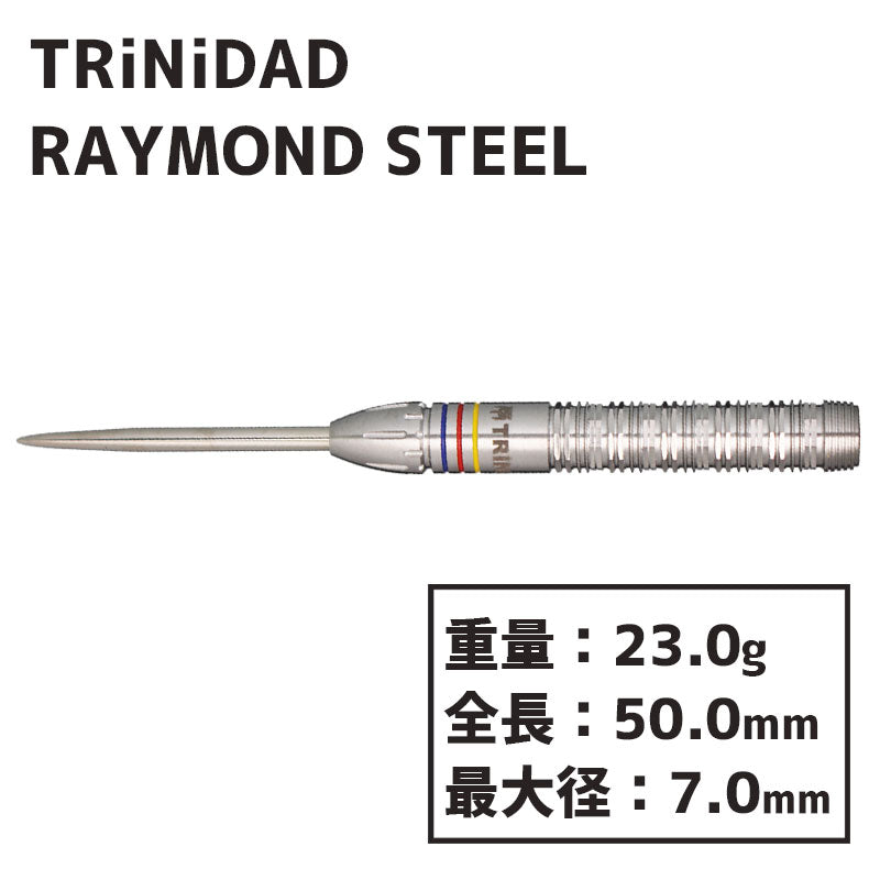 TRiNiDAD RAYMOND STEEL Darts Barrel – Dartsbuddy.com