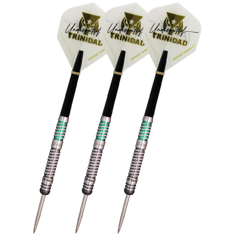 ダーツ TRiNiDAD Undisputed RICARDO2 Steel TRiNiDAD Undisputed RICARDO2 STEEL Darts Barrel Steel Seigo Asada