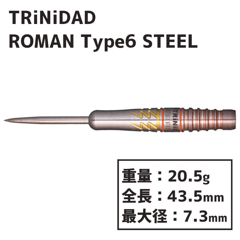 TRiNiDAD ROMAN TYPE6 STEEL 宮脇実由 Darts Barrel HardDarts