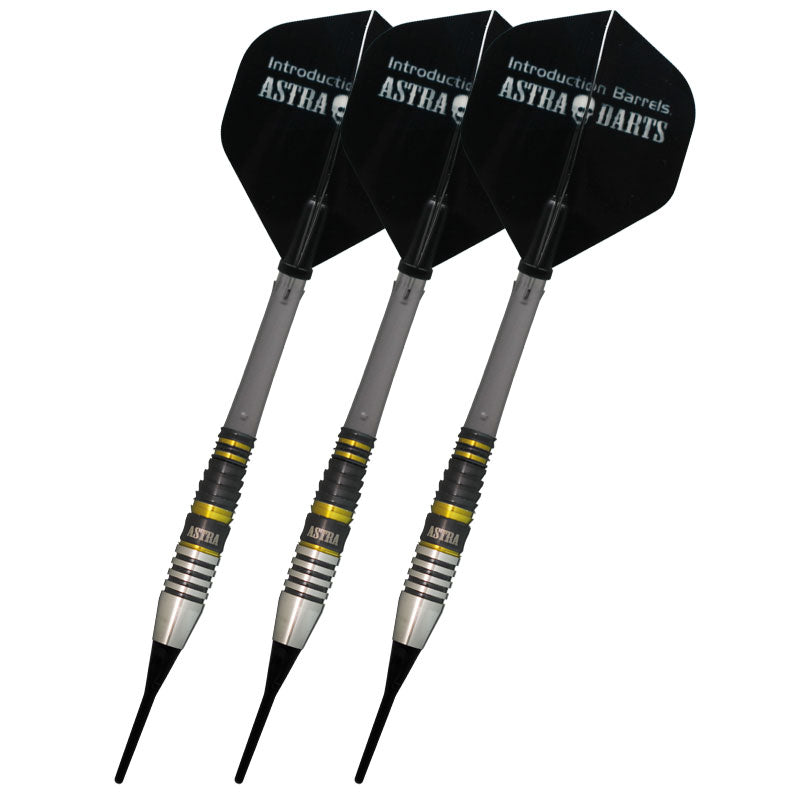 ASTRA DARTS T-arrow5 YACHI TARO Darts Barrel 谷内太郎