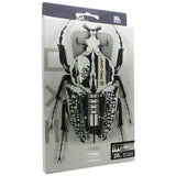 Target EXO 11 Darts Barrel - Dartsbuddy.com