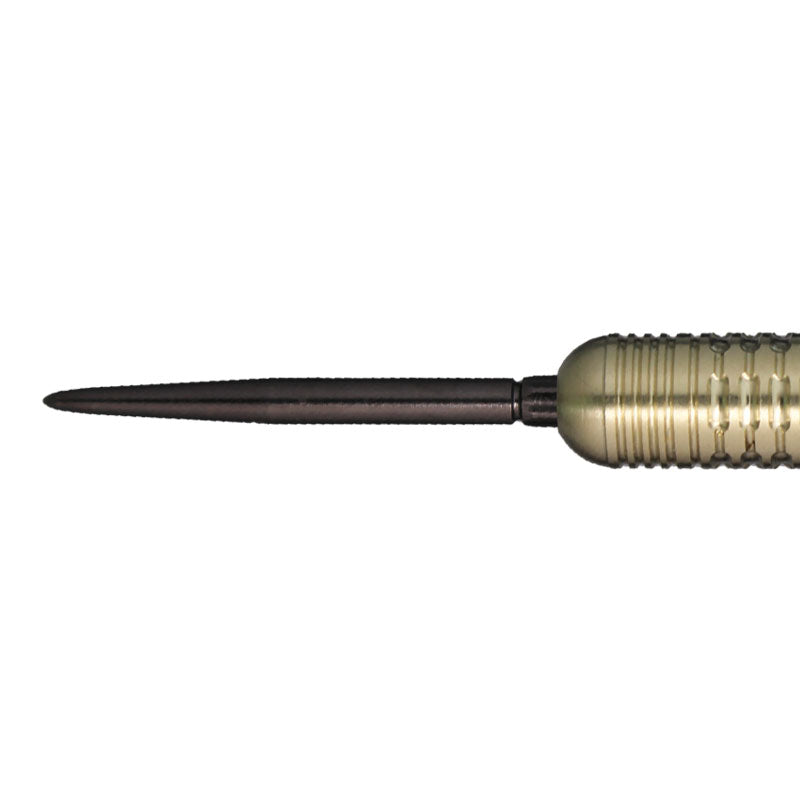 TARGET GLITZ G2 swisspoint Darts Barrel HardDarts – Dartsbuddy.com