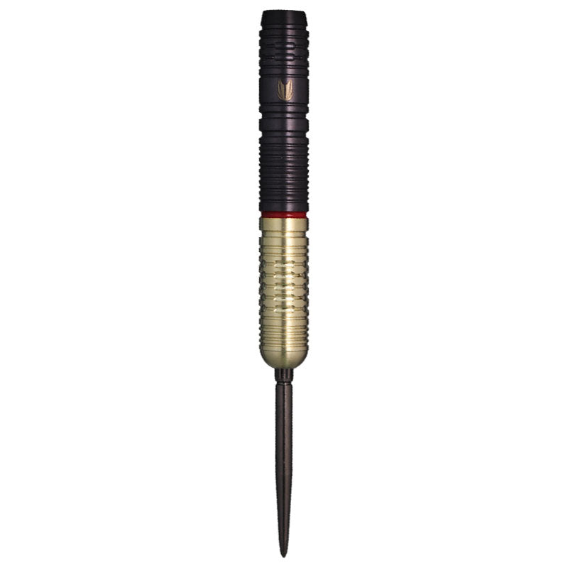 TARGET GLITZ G2 swisspoint Darts Barrel HardDarts – Dartsbuddy.com