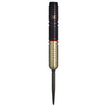 TARGET GLITZ G2 swisspoint Darts Barrel HardDarts - Dartsbuddy.com