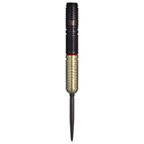 TARGET GLITZ G2 swisspoint Darts Barrel HardDarts - Dartsbuddy.com