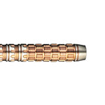 TARGET RAPTOR GEN6 swiss point 24.0g Darts Barrel Steel Hard - Dartsbuddy.com