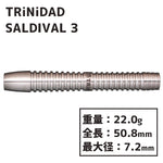 TRiNiDAD SALDIVAL TYPE3 中西永吉 Darts Barrel