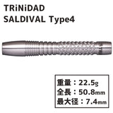 TRiNiDAD SALDIVAL TYPE4 Darts Barrel 中西永吉