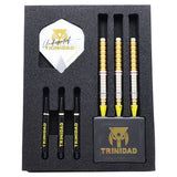 TRiNiDAD Undisputed GOMEZ16 20g Darts Barrel Yuuki Yamada