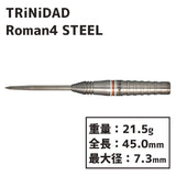 TRiNiDAD Roman4 STEEL Darts Barrel Hard Darts バレル 宮脇実由 - Dartsbuddy.com