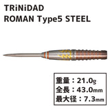 TRiNiDAD ROMAN TYPE5 STEEL Darts Barrel - Dartsbuddy.com