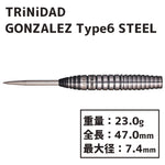 TRiNiDAD GONZALEZ TYPE6 STEEL Darts Barrel Hard 西哲平