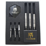 TRiNiDAD GONZALEZ TYPE6 STEEL Darts Barrel Hard 西哲平