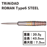 TRiNiDAD ROMAN TYPE6 STEEL 宮脇実由 Darts Barrel HardDarts