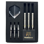 TRiNiDAD Freitas 4 STEEL 淋翔太 Darts Barrel