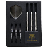 TRiNiDAD COTTO3 STEEL 正津貴之 Darts Barrel