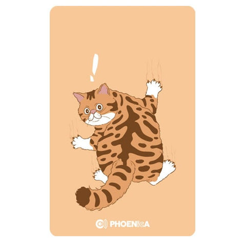 Phoenix game card PHOENicA 250301 Darts gameCard - Dartsbuddy.com