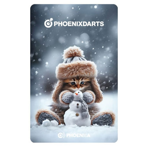 Phoenix game card PHOENicA 250303 Darts gameCard - Dartsbuddy.com