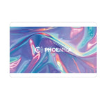Phoenix game card PHOENicA 250803 Darts gamecard