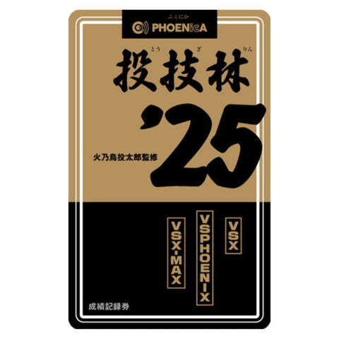 Phoenix game card PHOENicA 251001 Darts gameCard