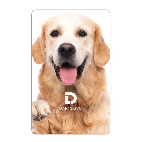 DARTSLIVE dartslive game card 53-6 - Dartsbuddy.com