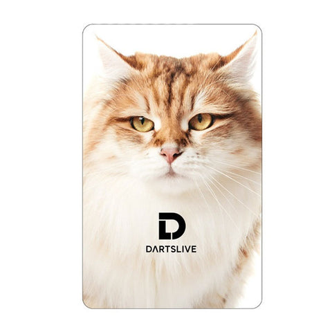 DARTSLIVE dartslive game card 53-7 - Dartsbuddy.com