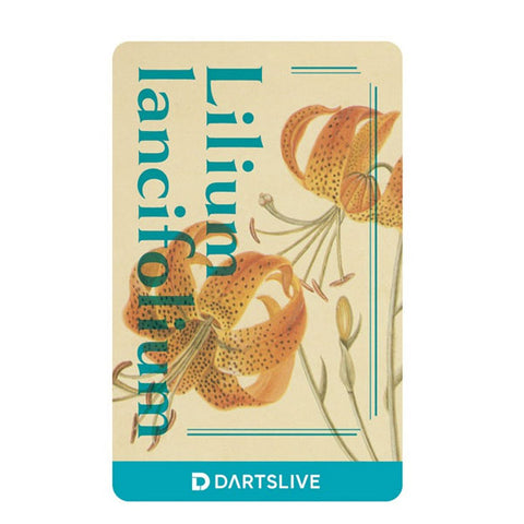DARTSLIVE dartslive game card 53-10 - Dartsbuddy.com