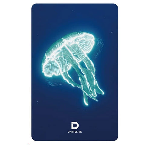 DARTSLIVE game card 55-12 - Dartsbuddy.com