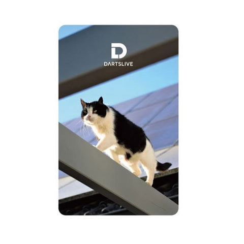 DARTSLIVE card 56-6 dartslive game card 56-6 - Dartsbuddy.com