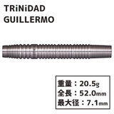 TRiNiDAD GUILLERMO Barrel Darts Ryu Fukuda