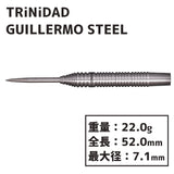 TRiNiDAD GUILLERMO STEEL Barrel Darts Ryu Fukuda Hard