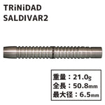 TRiNiDAD SALDIVAR2 Darts Barrel - Dartsbuddy.com