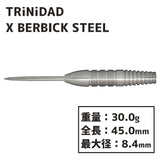 TRiNiDAD X BERBICK Steel DARTS - Dartsbuddy.com