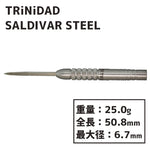TRiNiDAD SALDIVAR STEEL Darts Barrel 中西永吉 - Dartsbuddy.com
