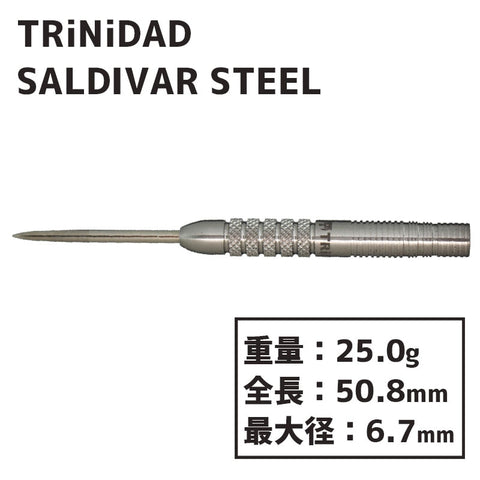 TRiNiDAD PRO Saldivar Steel 中西永吉 選手考案モデル トリニダード 