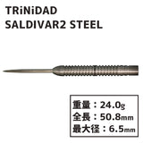 TRiNiDAD SALDIVAR2 STEEL Darts Barrel - Dartsbuddy.com