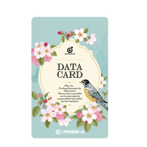 Phoenix game card PHOENicA 220703 - Dartsbuddy.com