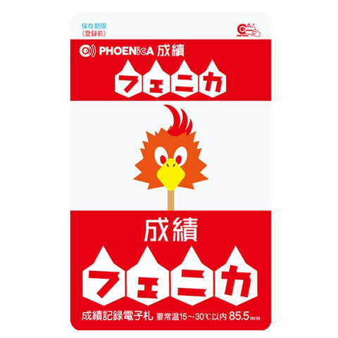 Phoenix game card PHOENicA 221203 - Dartsbuddy.com