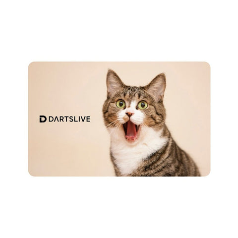 DARTSLIVE card 51-5 - Dartsbuddy.com