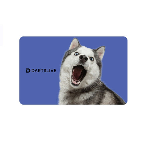 DARTSLIVE card 51-7 - Dartsbuddy.com